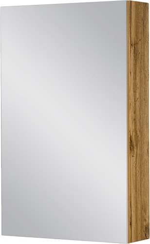 Szafka łazienkowa z lustrem 50x80 seria Fokus NE