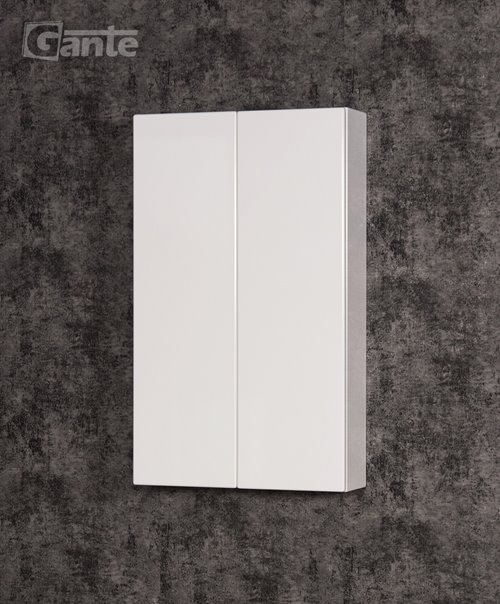 Szafka nad stelaż WC Geberit FOKUS 60x110 cm biała w połysku