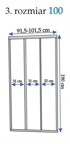 Drzwi prysznicowe rozsuwane 100 cm Rea Alex