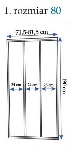 Drzwi prysznicowe rozsuwane 80 cm Rea Alex