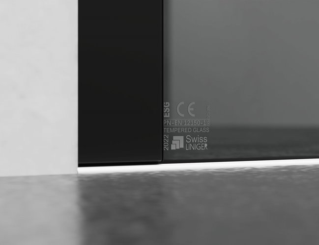 Kabina prysznicowa narożna 100x70 cm szkło 8mm grafitowe profile czarny mat Swiss Liniger