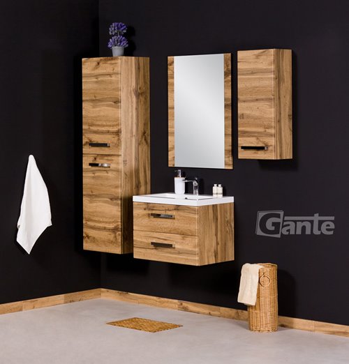 Szafka łazienkowa wisząca 30/72 seria Fokus NE