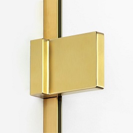 Drzwi prysznicowe 80 cm EXK-1714 Avexa Gold Brushed New Trendy