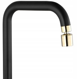 Czarna bateria kuchenna Polo Black Gold Mat Rea