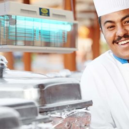 Lampa owadobójcza rażąca CRI CRI 308E Professional Moel