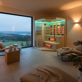 Sauna Combo na podczerwień + fińska 5-osobowa 150x150 cm Moss1 6KW