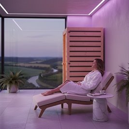 Sauna na podczerwień infrared sucha 2-osobowa 90x90 cm Tromso-1 230V zdjęcie 12